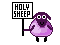 holy sheep